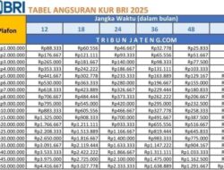 Simulasi Angsuran KUR BRI 2025: Cicilan Rp70 Juta Selama 2 Tahun
