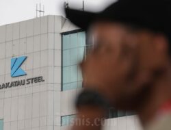 Komisi VI DPR Tunda Rapat Penyelamatan Baja dan Krakatau Steel (KRAS)