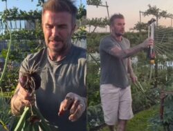 Pensiun dari Sepak Bola, David Beckham Menikmati Hidup dengan Berkebun