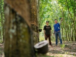 Indeks Bisnis UMKM BRI Q3 2025: Ekspansi Berlanjut, Optimisme Meningkat
