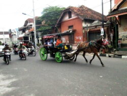 Kontes Kuda Andong di Malioboro Yogyakarta Hari Ini