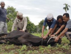 Korban Bencana Sumatra Capai 303 Jiwa, BNPB Fokus Evakuasi dan Buka Akses Daerah Terisolasi