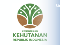 Kemenhut Beri Penjelasan Soal Izin Tebang Pohon di Batang Toru