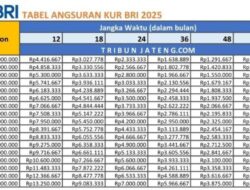 Tabel Angsuran KUR BRI 2026 di Jambi: Pinjaman 50 Juta dengan Cicilan 1 Jutaan