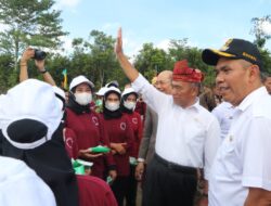 Gerakan Jarnas Pemuda Hijau Tanam 1.500 Pohon Kelor di Kali Cibanten Serang