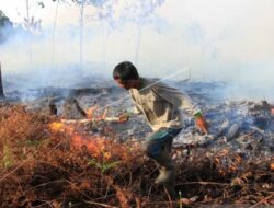 Waspadai Kebakaran Hutan dan Lahan Saat Musim Kemarau 2026, Peringatan Dini BMKG
