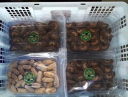 Kue Kering NW Ludes 100 Kilogram dari Satu Pesanan di Desa Padang Belitung Timur