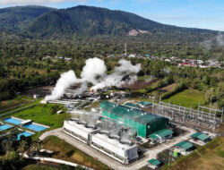 PGEO Cetak Laba Bersih Rp2,34 Triliun di 2025