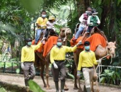 Mengungkap Sejarah Kebun Binatang Surabaya, Dari Koleksi Pribadi Sampai Ikons Wisatawan