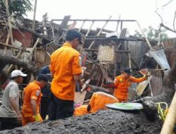 Hujan Angin Mengguncang Surabaya: 55 Pohon Tumbang dan 4 Bangunan Rusak