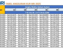 Tabel KUR Mandiri 2026: Pinjaman Sampai Rp 500 Juta, Simulasi Cicilan Lengkap