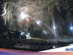 Penemuan batu 2 miliar tahun ungkap kehidupan mikroba, ilmuwan: ubah pemahaman evolusi