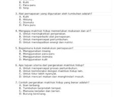20 Soal Uji Kompetensi BAB 7 IPAS Kelas 3 SD Semester 2 Kurikulum Merdeka