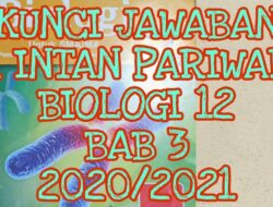Kunci Jawaban Biologi Kelas 12 Halaman 150, Aktivitas 3.15: Heterozigot